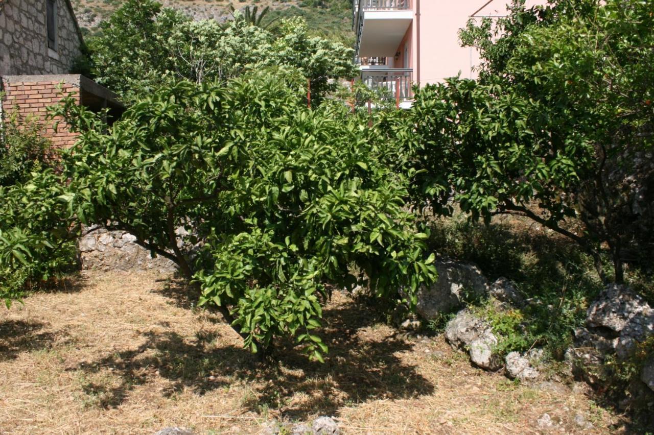 Apartments By The Sea Podaca, Makarska - 6874 Екстер'єр фото
